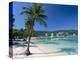 Ocho Rios, Jamaica, West Indies, Central America-Sergio Pitamitz-Premier Image Canvas