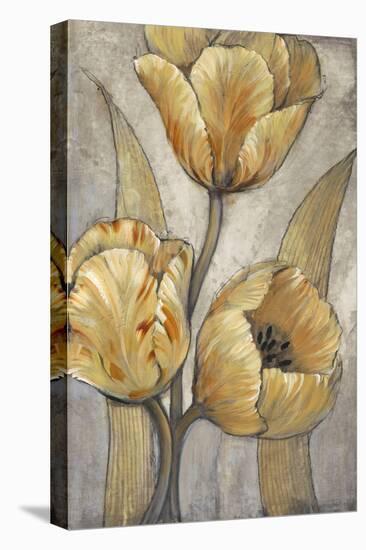 Ochre & Grey Tulips I-Tim O'toole-Stretched Canvas