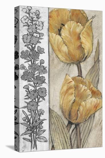 Ochre & Grey Tulips IV-Tim O'toole-Stretched Canvas