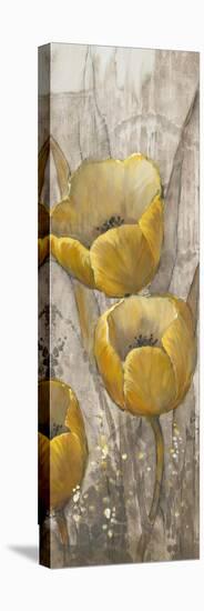 Ochre Tulips I-Tim O'toole-Stretched Canvas