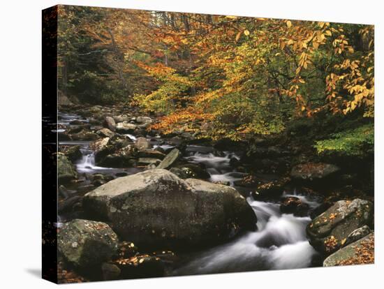 Oconaluftee River, Great Smoky Mountains National Park, North Carolina, USA-Adam Jones-Premier Image Canvas