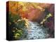 Oconoluftee River-Herb Dickinson-Premier Image Canvas