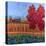 October Air-Don Tiller-Premier Image Canvas