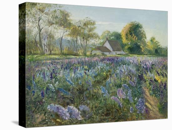 October Delphiniums-Timothy Easton-Premier Image Canvas