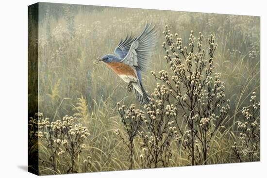 October Meadow-Wilhelm Goebel-Premier Image Canvas