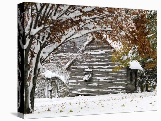 October Snow-Pat Wellenbach-Premier Image Canvas