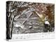 October Snow-Pat Wellenbach-Premier Image Canvas