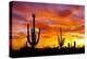 October Sunset-Douglas Taylor-Premier Image Canvas