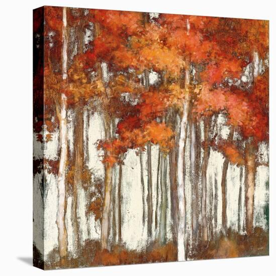 October Woods Light-Julia Purinton-Stretched Canvas