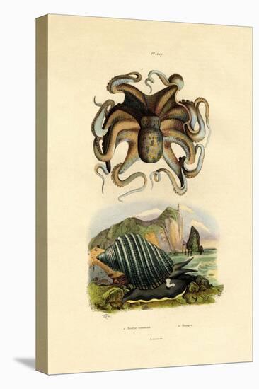 Octopus, 1833-39-null-Premier Image Canvas