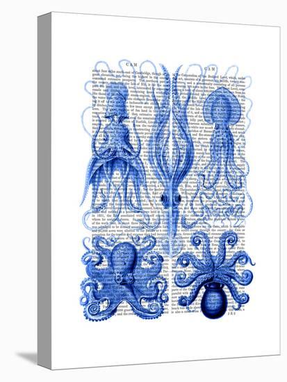 Octopus and Squid Blue-Fab Funky-Stretched Canvas