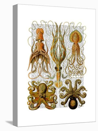 Octopus and squid-Fab Funky-Stretched Canvas