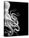 Octopus Black and White b-Fab Funky-Stretched Canvas