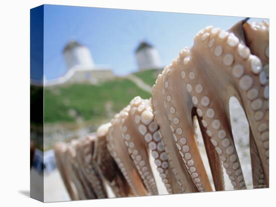 Octopus Drying in the Sun, Mykonos, Cyclades Islands, Greece, Europe-Lee Frost-Premier Image Canvas