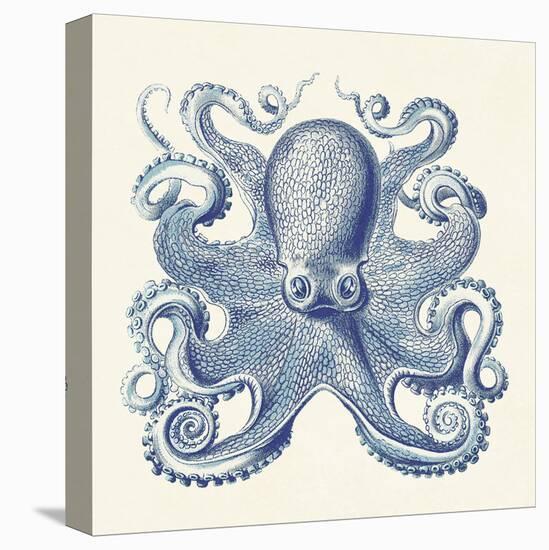 Octopus I-Sparx Studio-Stretched Canvas