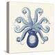 Octopus II-Sparx Studio-Stretched Canvas