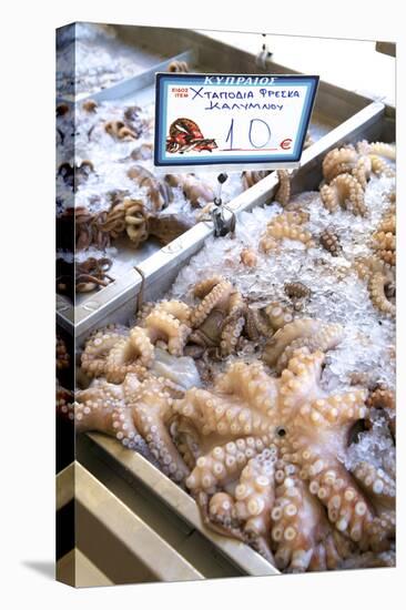 Octopus in the Market, Kalymnos, Dodecanese, Greek Islands, Greece, Europe-Neil Farrin-Premier Image Canvas