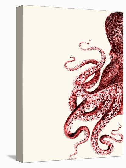 Octopus Red and White a-Fab Funky-Stretched Canvas