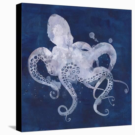 Octopus Shadow I-Grace Popp-Stretched Canvas