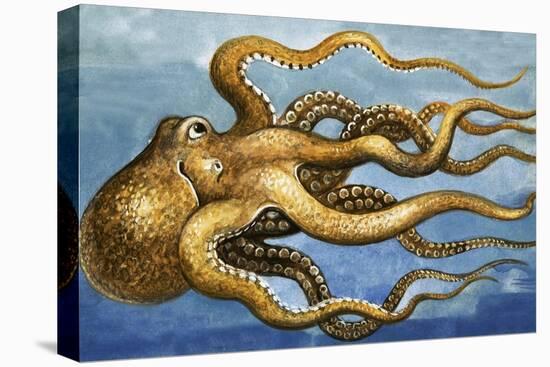 Octopus-null-Premier Image Canvas