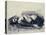 Odalisque-George Wesley Bellows-Premier Image Canvas