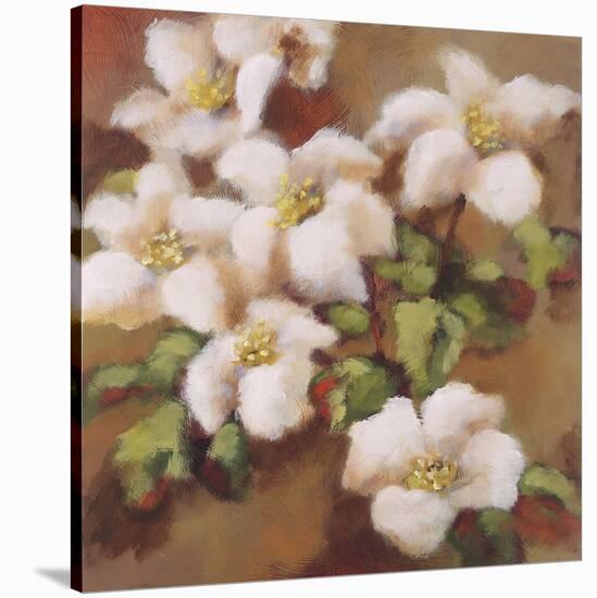 Ode to Spring-Onan Balin-Stretched Canvas