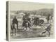 Officers Playing Polo (Hockey on Horseback) on Woolwich-Common-Matthew White Ridley-Premier Image Canvas