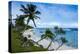 Ofu Island, Manu'A Island Group, American Samoa, South Pacific-Michael Runkel-Premier Image Canvas