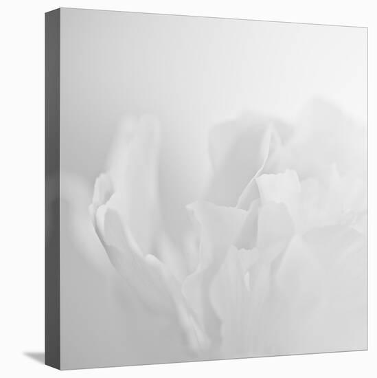 Oh So White-Doug Chinnery-Premier Image Canvas