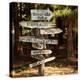 Oh the Places You Will Go-Lance Kuehne-Premier Image Canvas