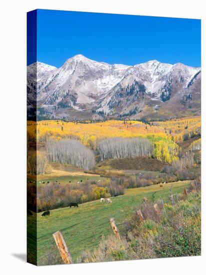 Ohio Creek Road, near Crested Butte, Colorado, USA-Rob Tilley-Premier Image Canvas