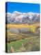 Ohio Creek Road, near Crested Butte, Colorado, USA-Rob Tilley-Premier Image Canvas