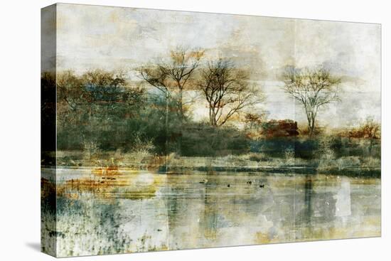 Oil and Water 2-Thea Schrack-Premier Image Canvas