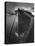 Oil Tanker Tied Up at Dock While it Is Being Loaded with Barrels of Oil-Margaret Bourke-White-Premier Image Canvas