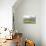 Oilseed Rape Fields-Rainer Maria-Premier Image Canvas displayed on a wall