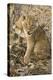 Okavango Delta, Botswana. Close-up of Lion Cub with Paw Stuck in Twigs-Janet Muir-Premier Image Canvas