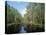 Okefenokee Swamp-James Randklev-Premier Image Canvas