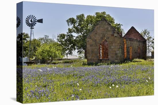 Old abandoned building, Cherokee, Texas-Darrell Gulin-Premier Image Canvas