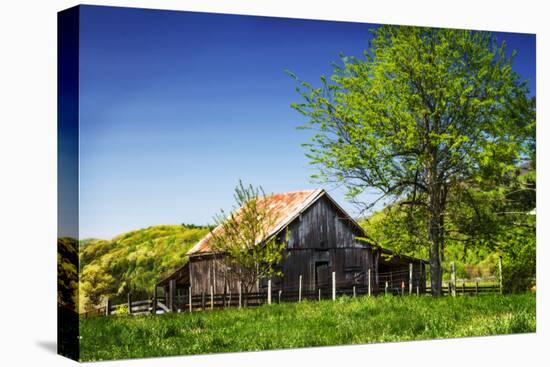 Old Backyard Barn-Alan Hausenflock-Premier Image Canvas