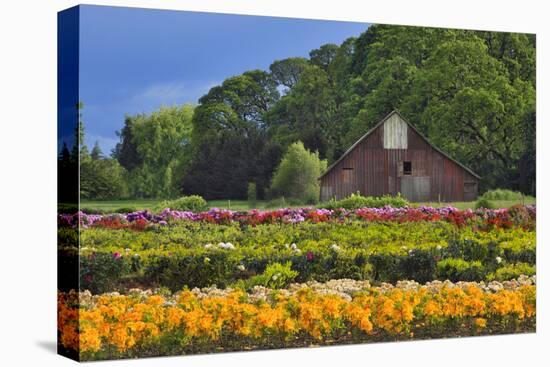 Old Barn and Flower Nursery, Willamette Valley, Oregon, USA-Jaynes Gallery-Premier Image Canvas