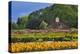 Old Barn and Flower Nursery, Willamette Valley, Oregon, USA-Jaynes Gallery-Premier Image Canvas