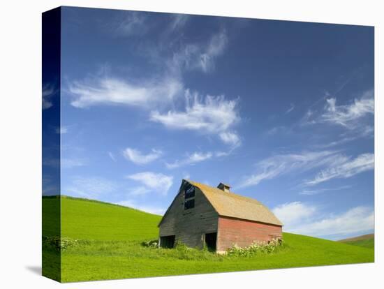 Old Barn in Wheat Field in Eastern Washington-Darrell Gulin-Premier Image Canvas