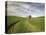 Old Barn in Wheat Field-Terry Eggers-Premier Image Canvas