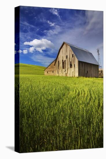 Old Barn Surrounded by Spring Wheat Field, Pr-Terry Eggers-Premier Image Canvas