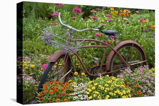 Old Bicycle with Flower Basket in Garden with Zinnias, Marion County, Illinois-Richard and Susan Day-Premier Image Canvas
