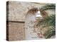 Old Brick Wall with Palm Trees, Key West, Florida Keys, Florida, USA-Terry Eggers-Premier Image Canvas
