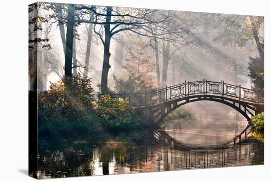 Old Bridge in Autumn Misty Park - HDR-gorillaimages-Premier Image Canvas