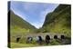 Old Bridge, Ytredalen, Sogn Og Fjordane, Norway, Scandinavia, Europe-Gary Cook-Premier Image Canvas