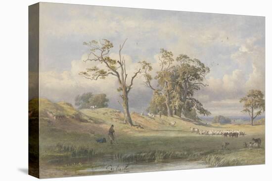 Old British Camp in Bulstrode Park, 1860-George Arthur Fripp-Premier Image Canvas