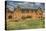 Old Building-Nathan Wright-Premier Image Canvas